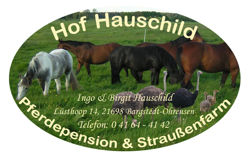 Hof Hauschild - Pferdepension & Straußenhof